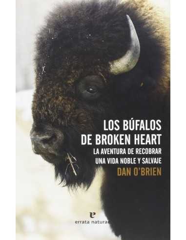 Los búfalos de Broken Heart